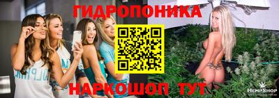 шишки Коммунар